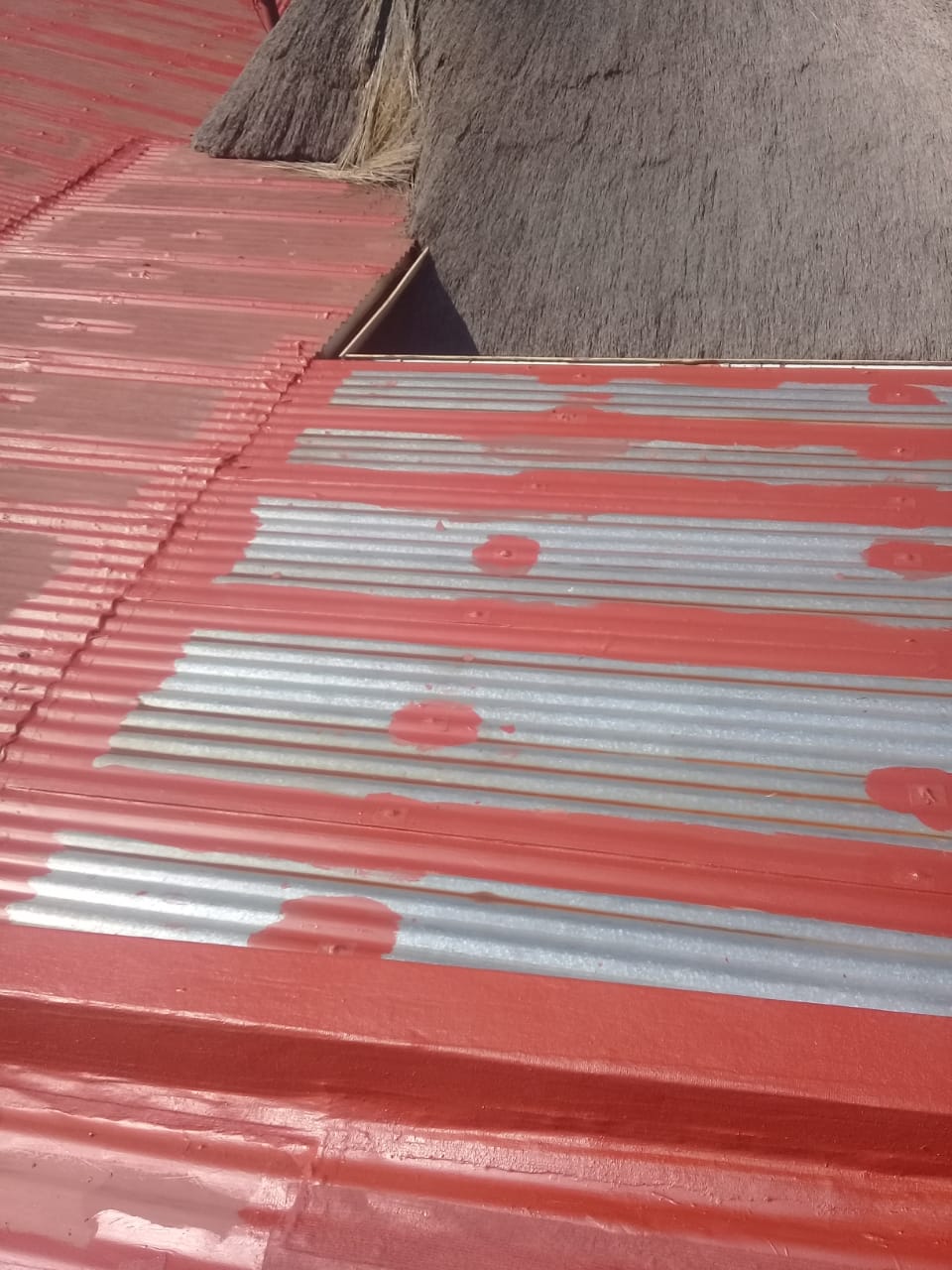 Repainted IBR sheeting