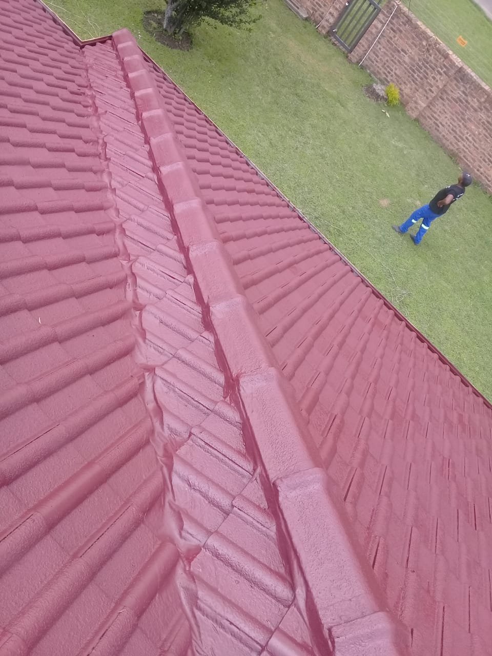 Recent project